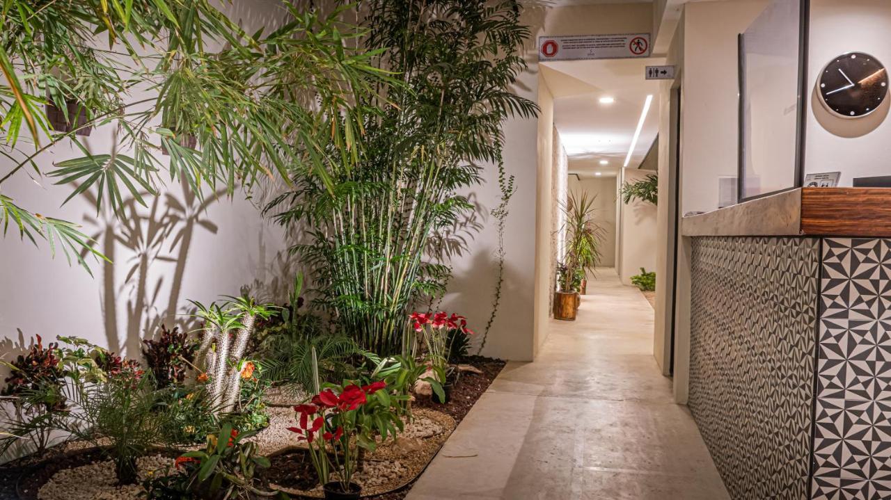 Moonshine Tulum Hotel & Hostel Extérieur photo